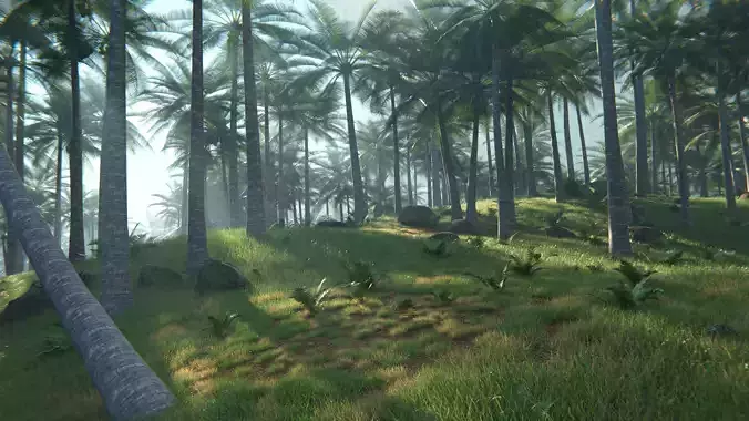 Tropical Palm Forest Environment with Realistic Coconut Trees 3D model 3