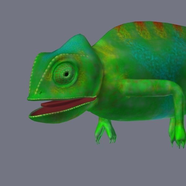 chameleon chameleon animal 3d model blender main 3D model_5