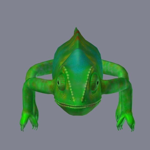 chameleon chameleon animal 3d model blender main 3D model_0