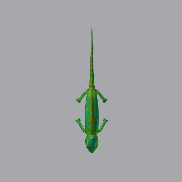 chameleon chameleon animal 3d model blender main 3D model_11