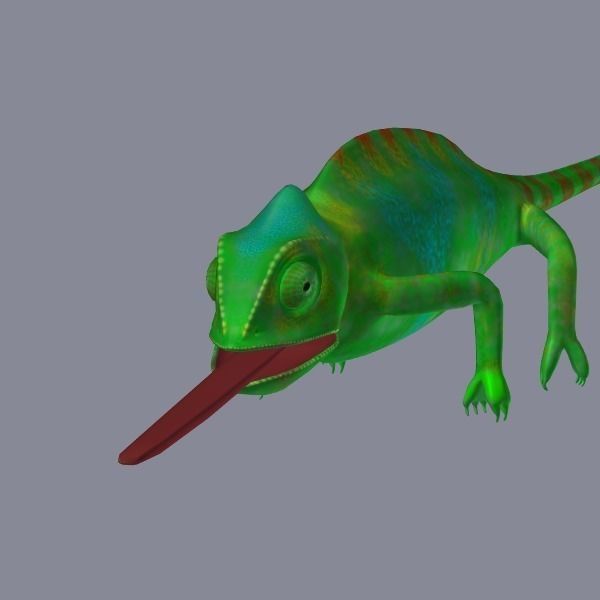 chameleon chameleon animal 3d model blender main 3D model_6