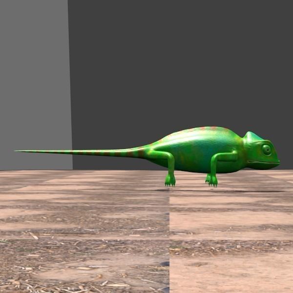 chameleon chameleon animal 3d model blender main 3D model_12