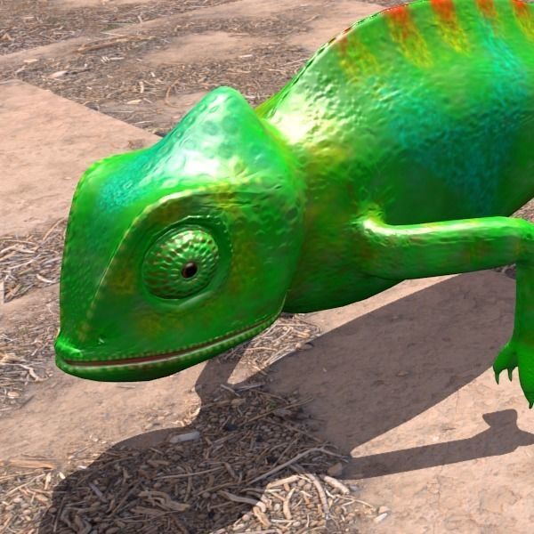 chameleon chameleon animal 3d model blender main 3D model_4