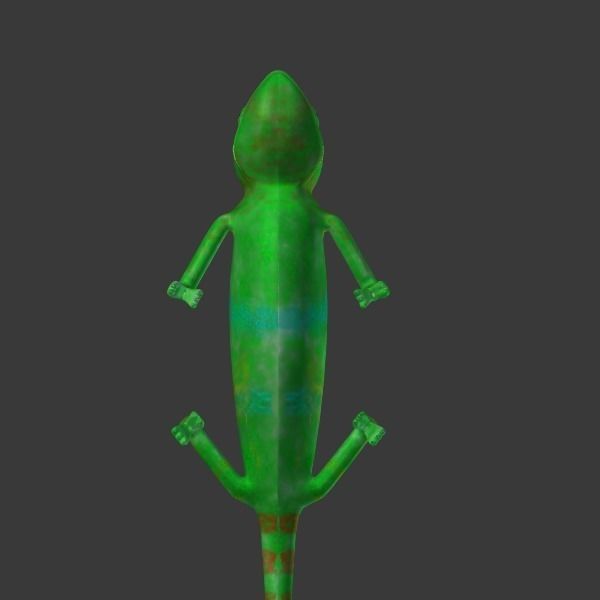 chameleon chameleon animal 3d model blender main 3D model_13