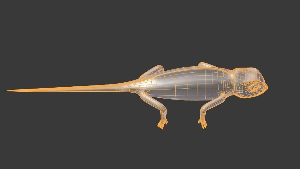 chameleon chameleon animal 3d model blender main 3D model_18