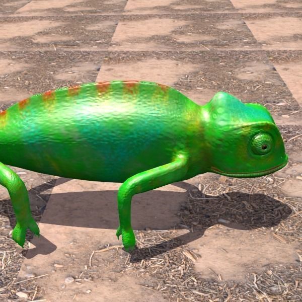 chameleon chameleon animal 3d model blender main 3D model_7