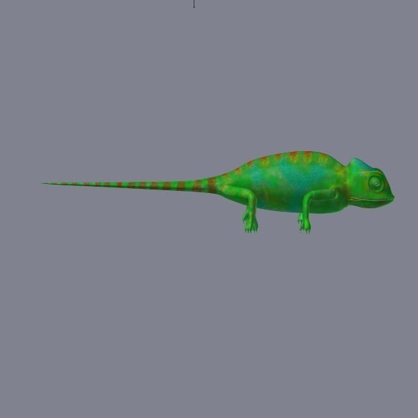 chameleon chameleon animal 3d model blender main 3D model_10
