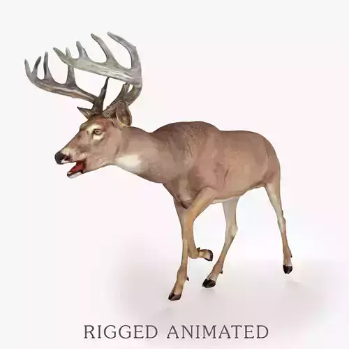 Deer Rigged Low-poly 3D model