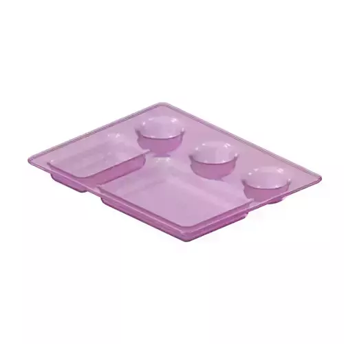 Transparent Stylish Compartment Dinner Plate