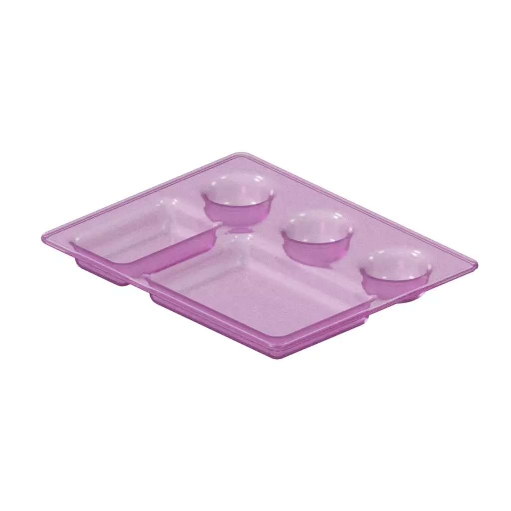 Transparent Stylish Compartment Dinner Plate 3D model