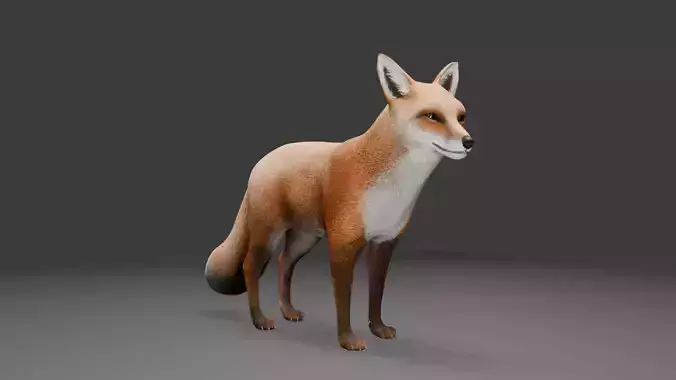 Realistic Red Fox    Rigged Low Poly Model