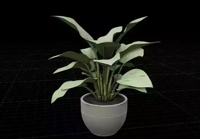 Poly Potted Plant Game Ready Environment Prop Low-poly 3D model