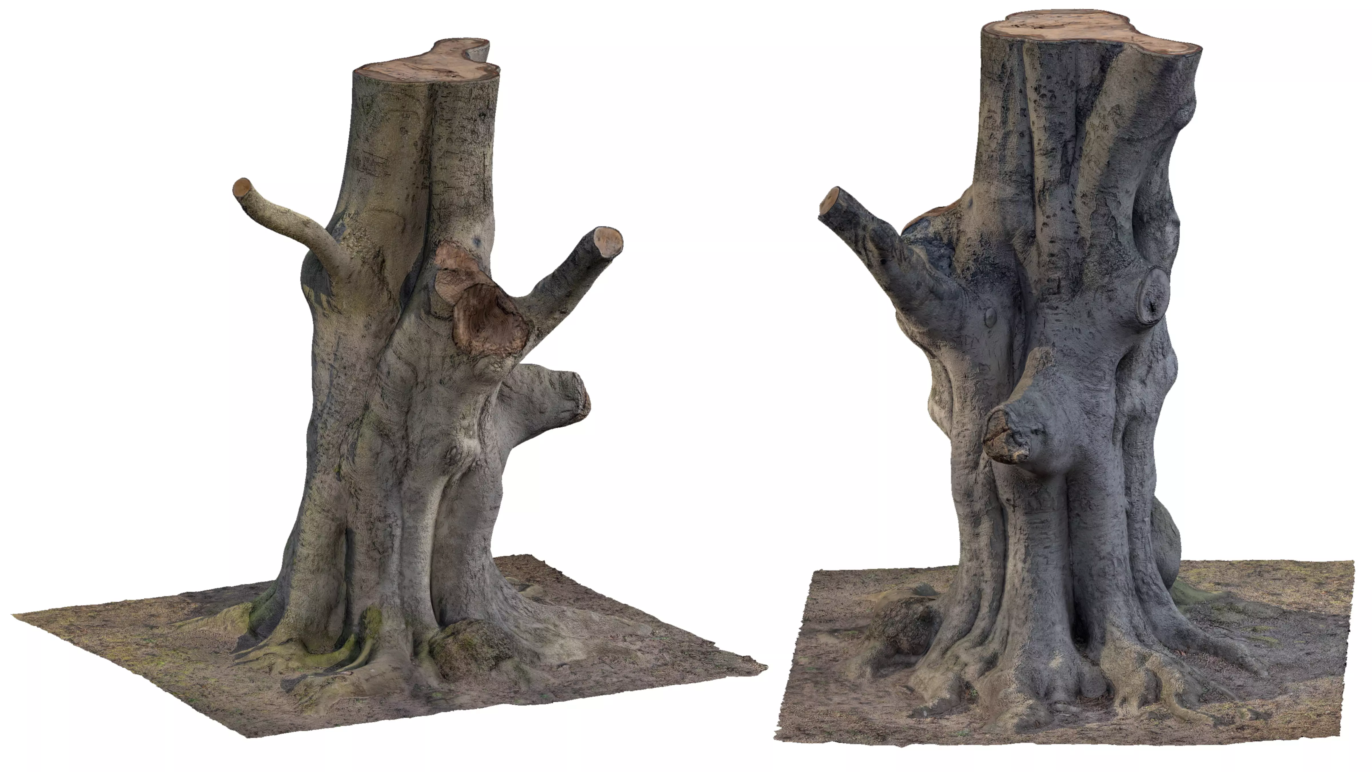 tree stump Low-poly 3D model