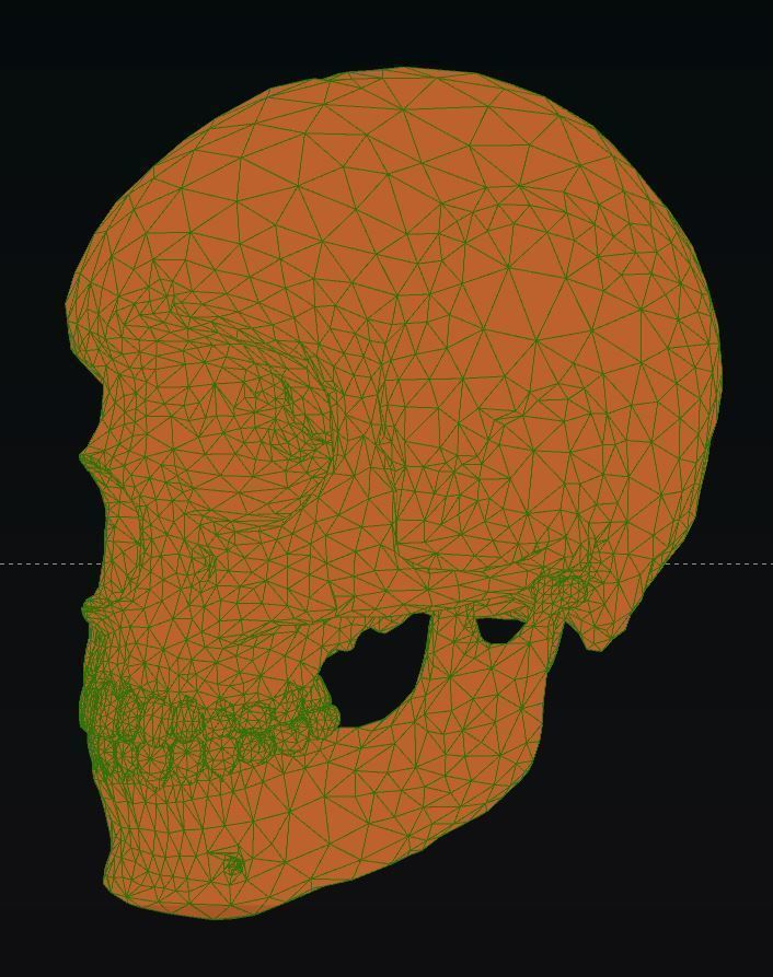  skull female human detailed Low-poly 3D model_6