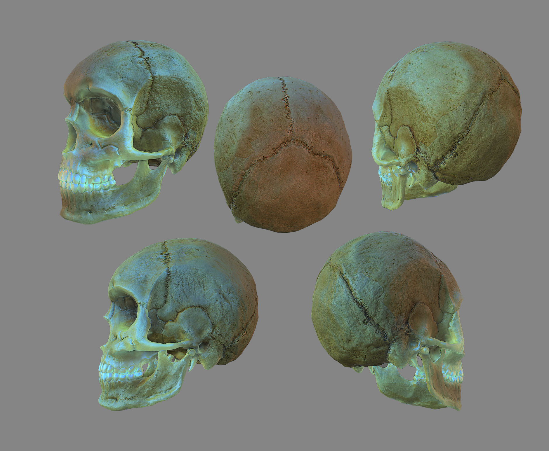  skull female human detailed Low-poly 3D model_10