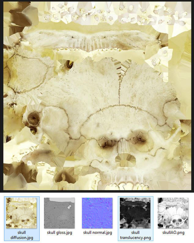  skull female human detailed Low-poly 3D model_9