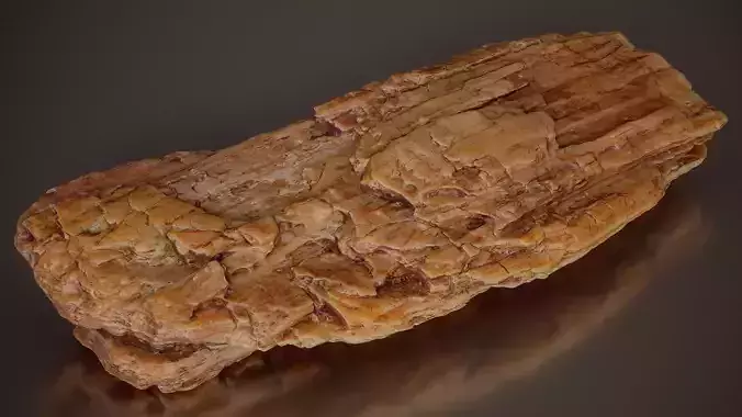 Weathered Log With Vertical Grain Weathered Wood Extra Small 6
