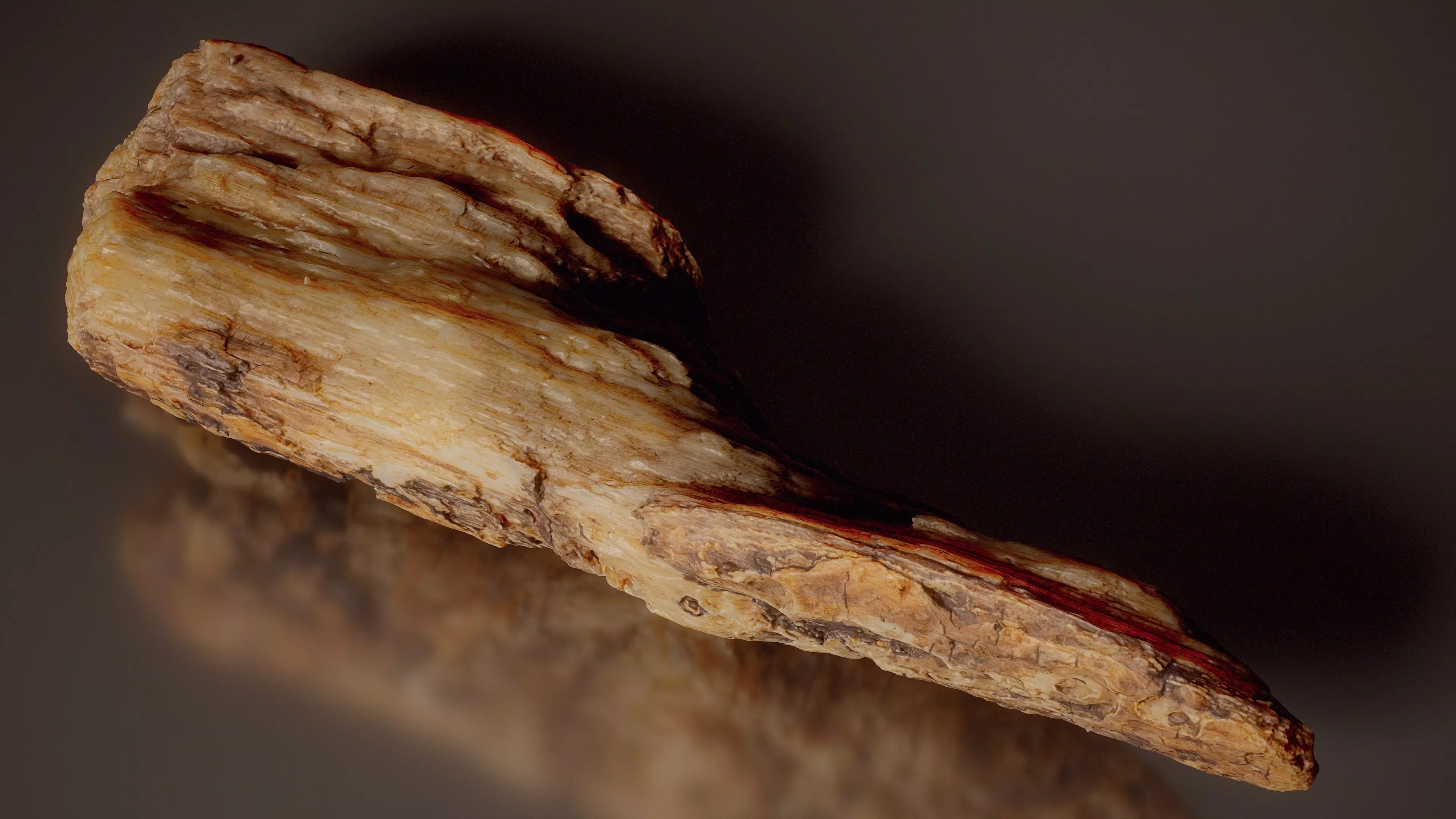 Weathered Bark Stripped Wood Weathered Wood Extra Small 13 Low-poly 3D model