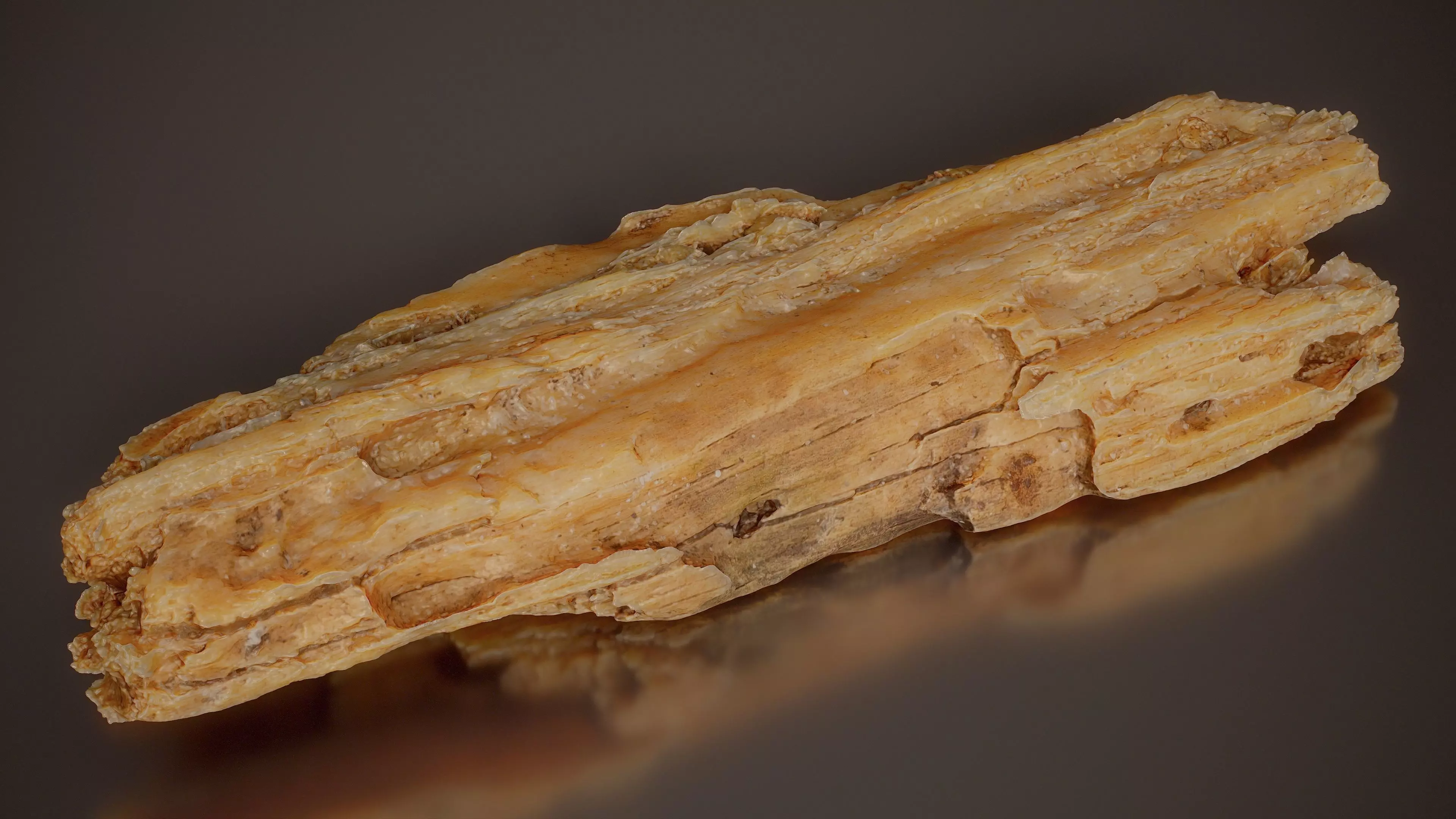 Splintered Driftwood Weathered Wood Extra Small 14 Low-poly 3D model