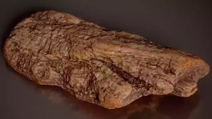 Rough Bark Log Section Pinus Wood Extra Small 5
