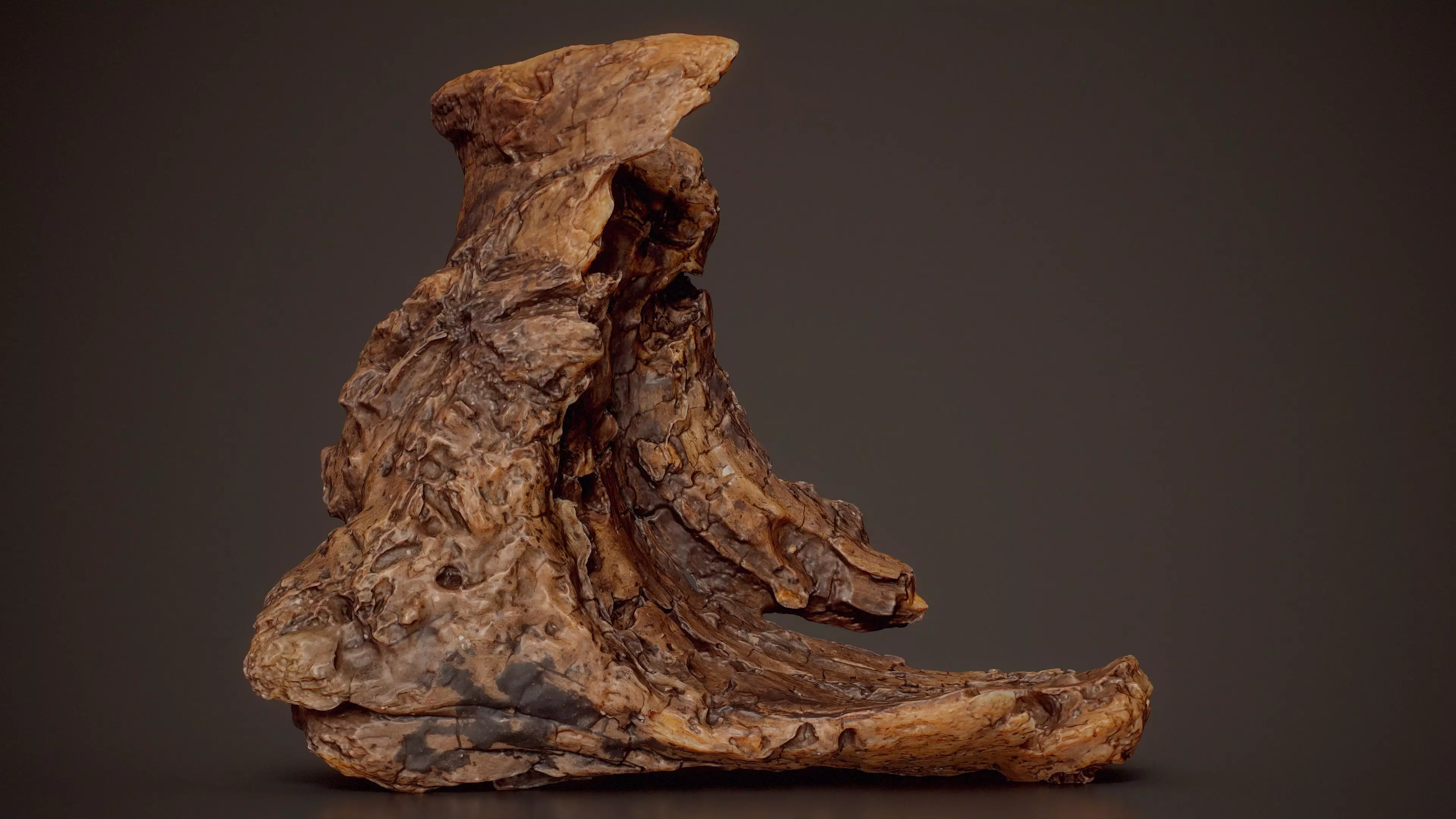 Hollow Rotten Wood Section Decayed Wood Extra Small 8 Low-poly 3D model