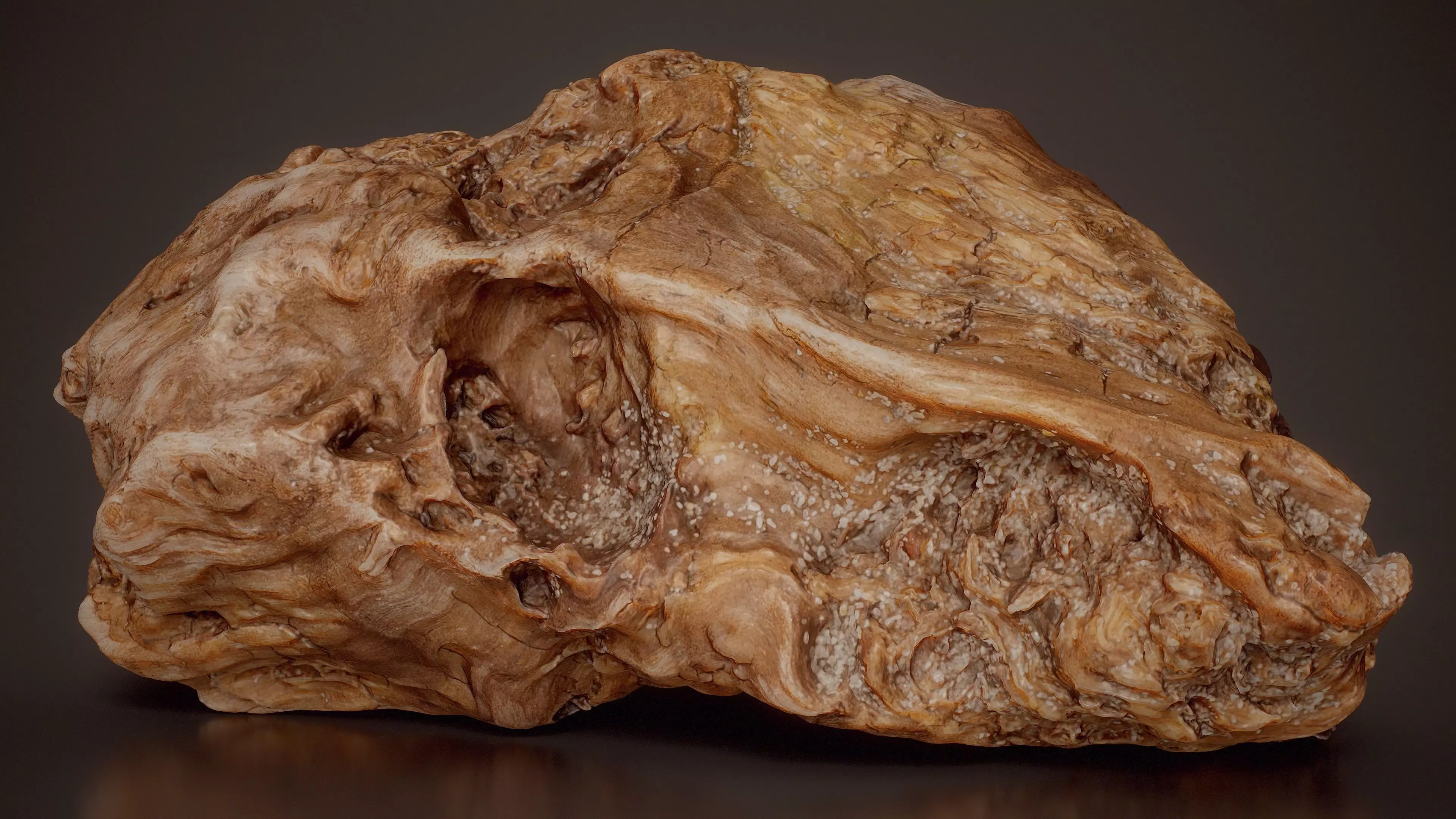 Burl Wood Section Burled Wood Extra Small 4 Low-poly 3D model