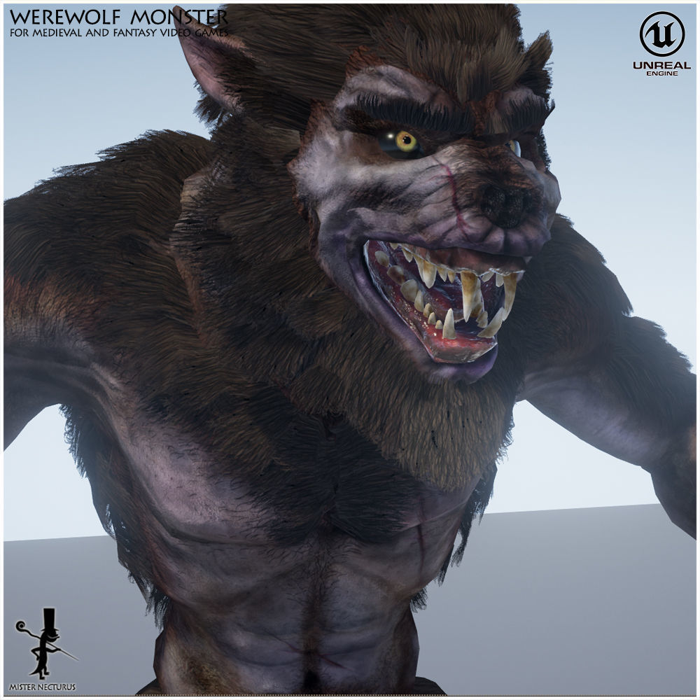 Animated Werewolf Light Version Low-poly 3D model_14