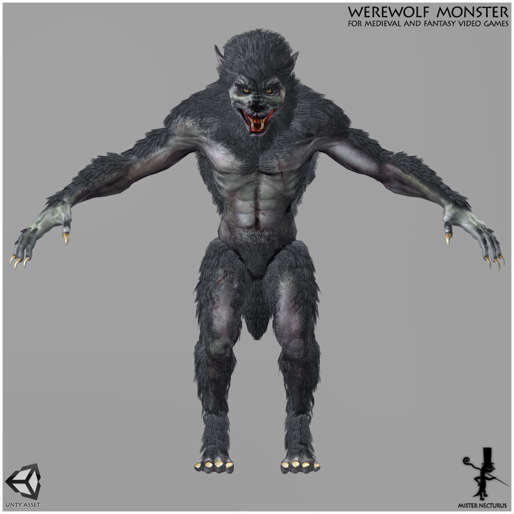 Animated Werewolf Light Version Low-poly 3D model_4