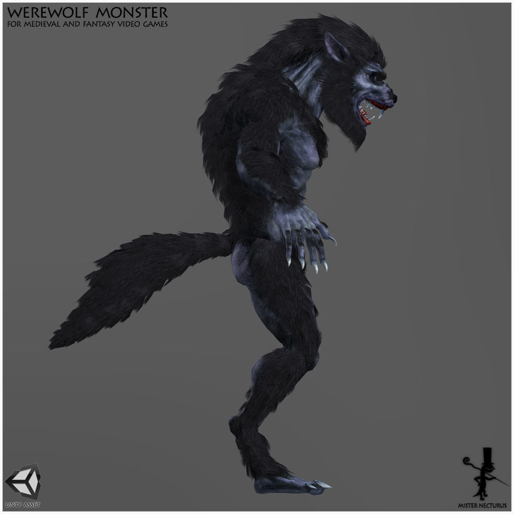 Animated Werewolf Light Version Low-poly 3D model_3