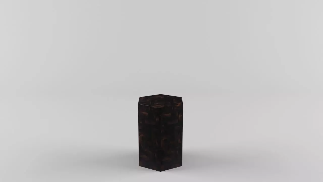 Williams Sonoma Pen Shell Hexagon Side Table Free 3D model_0
