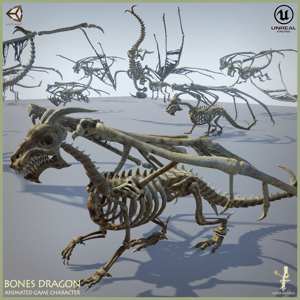 Bones Dragon Light Version Low-poly 3D model_12
