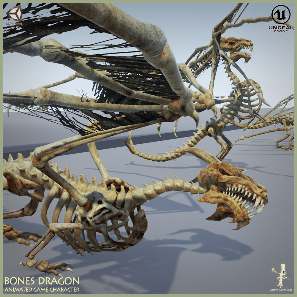 Bones Dragon Light Version Low-poly 3D model_13
