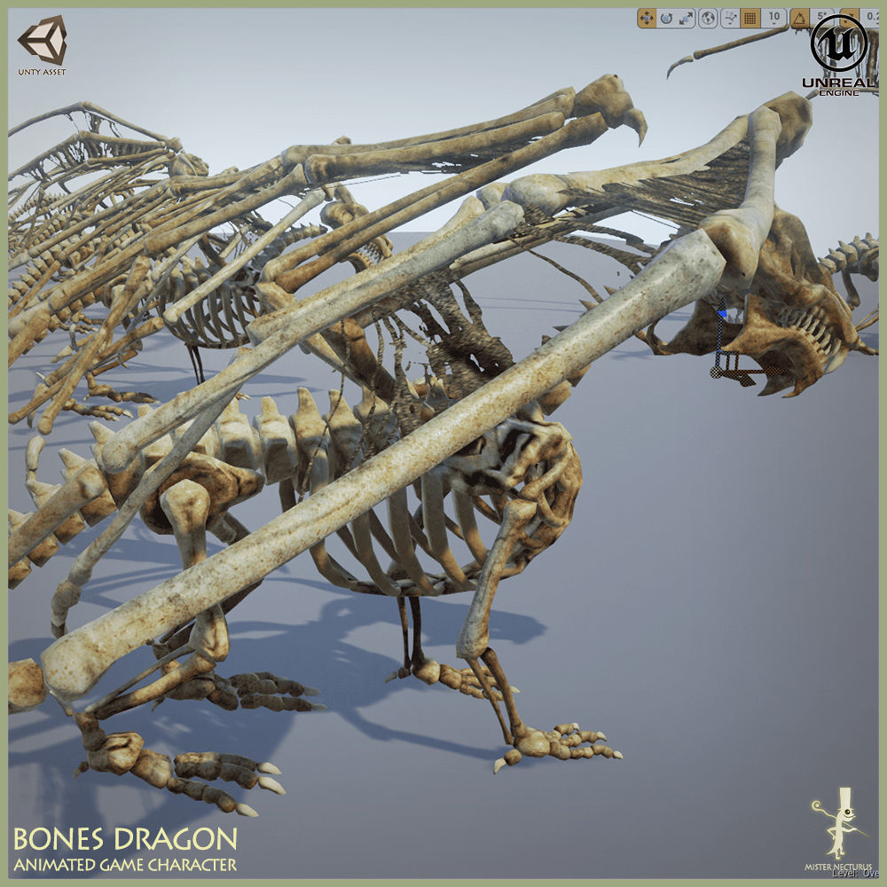 Bones Dragon Light Version Low-poly 3D model_14