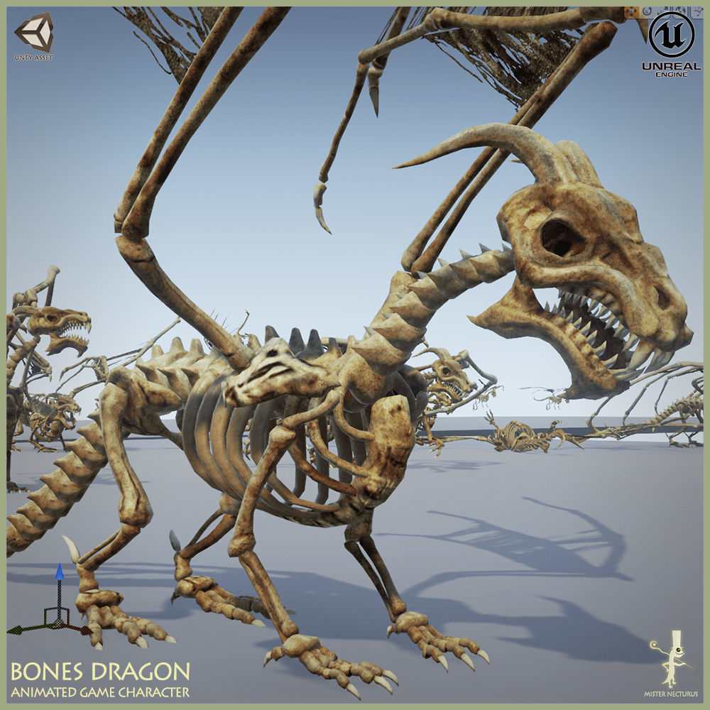 Bones Dragon Light Version Low-poly 3D model_11