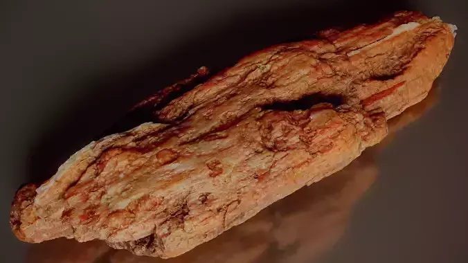 Weathered Pine Wood Split Pinus Middle Wood 01