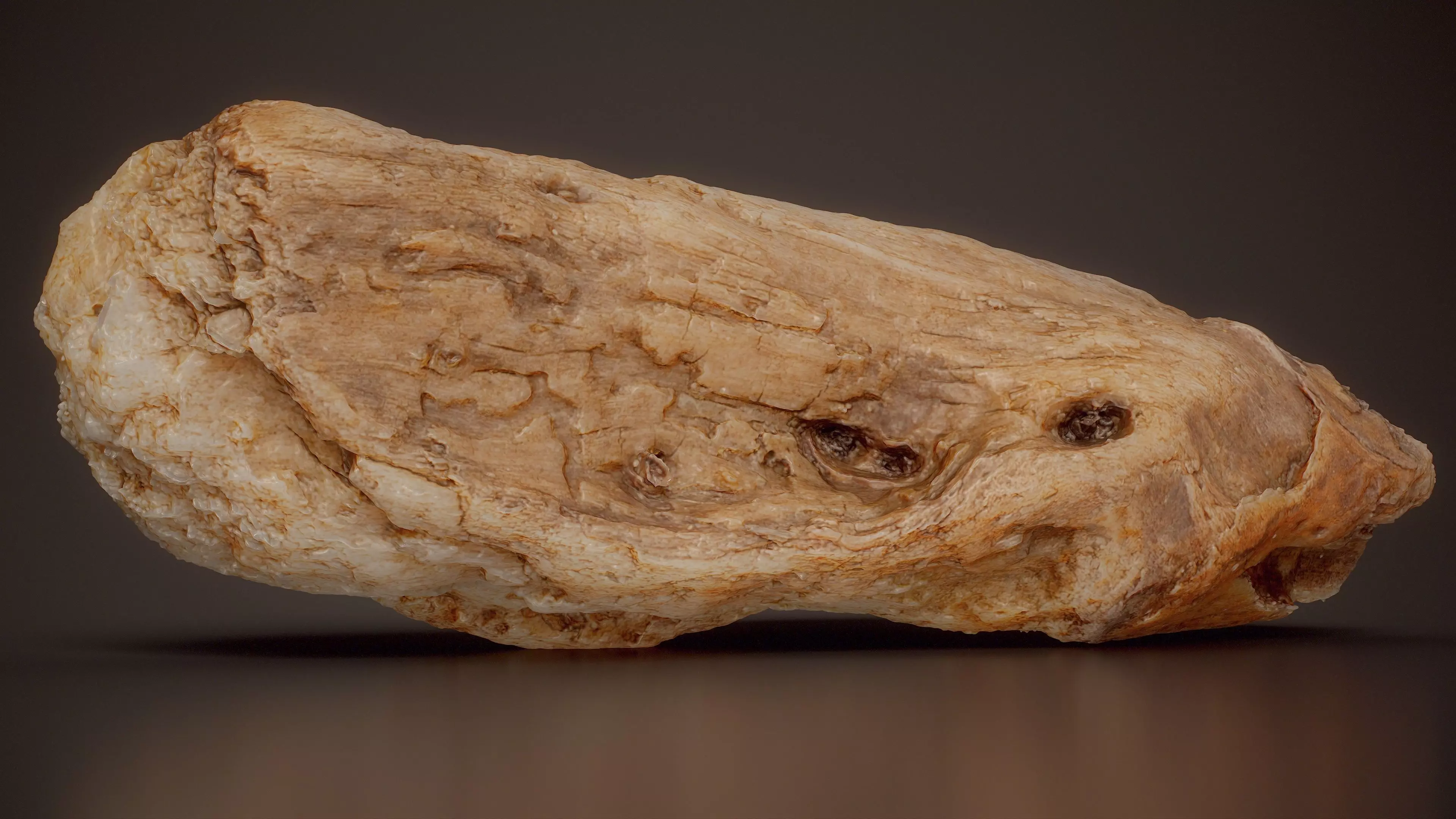 Weathered Hardwood Hardwood Middle Wood 08 Low-poly 3D model