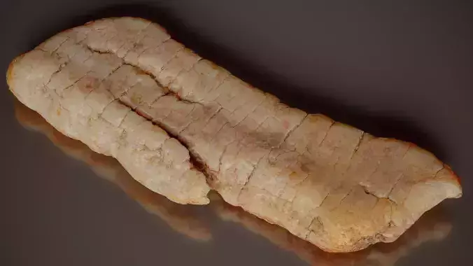 Pine Bark Split Pinus Middle Wood 09