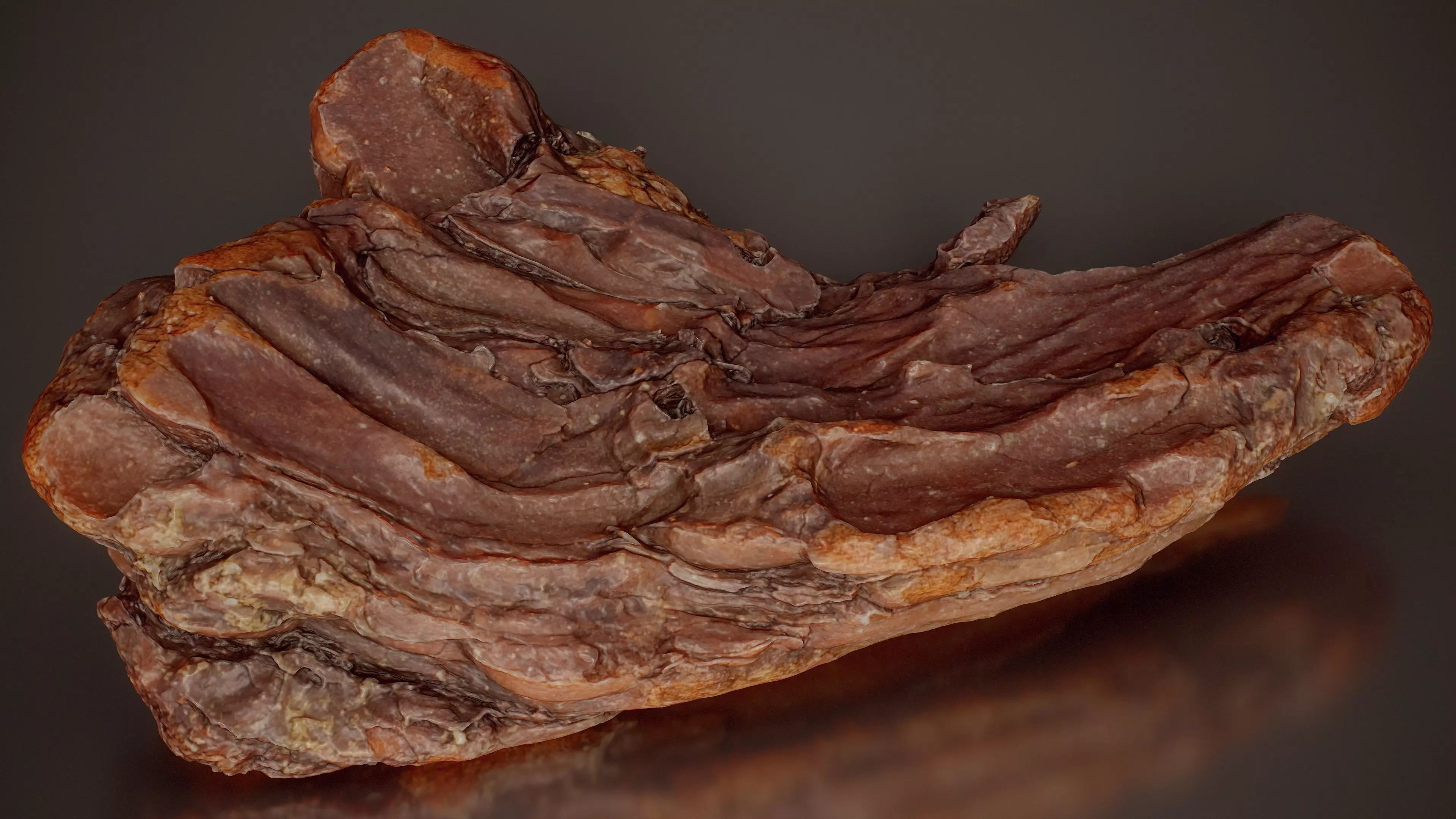 Pine Bark Root Base Pinus Middle Wood 12 Low-poly 3D model