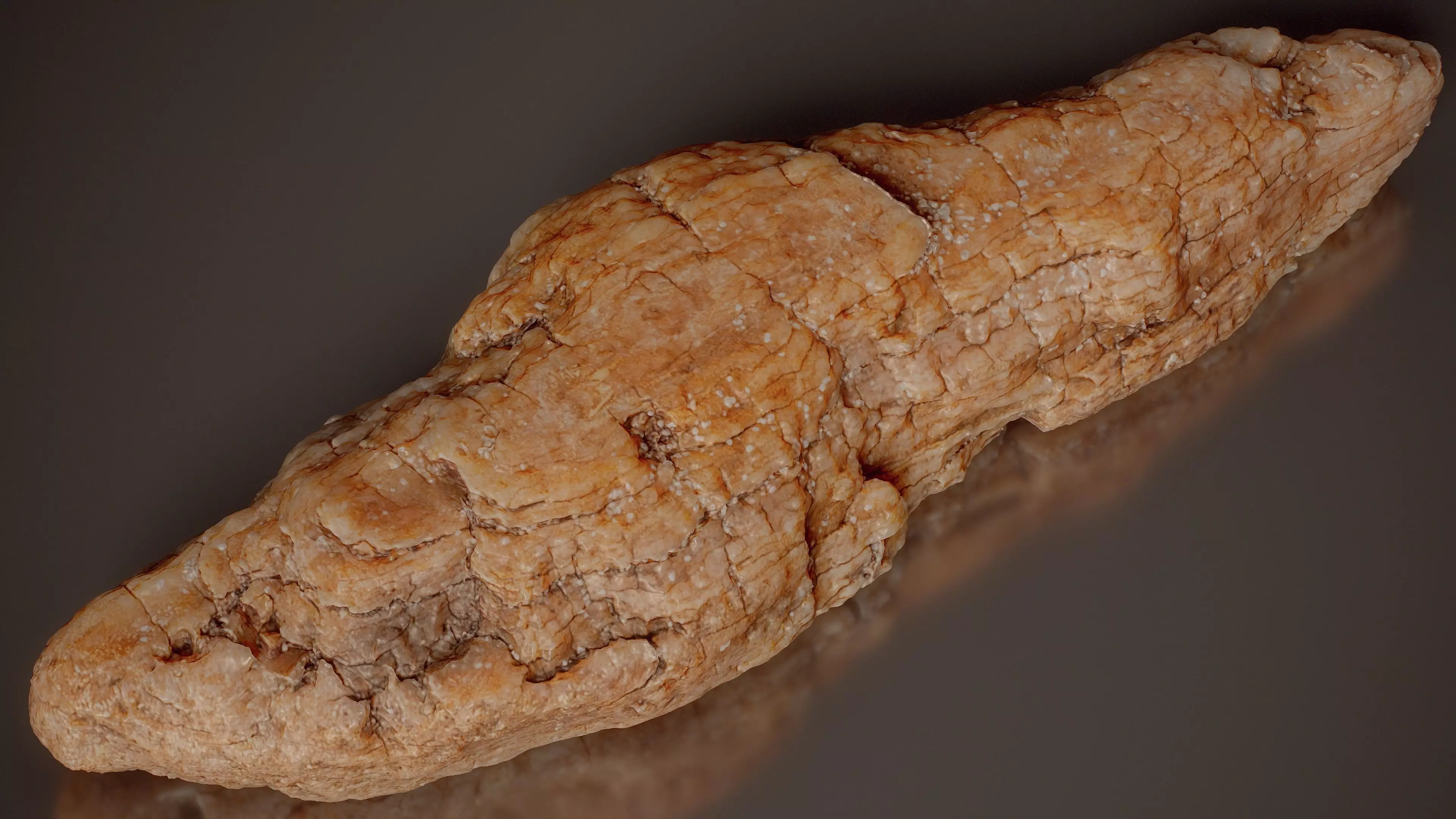 Pine Bark Nodular Pinus Middle Wood 07 Low-poly 3D model