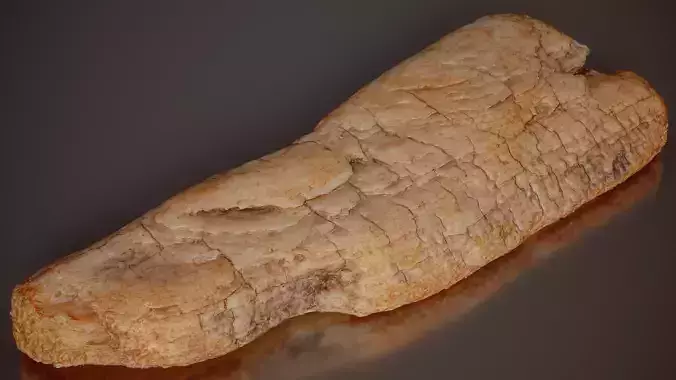 Pine Bark Light Pinus Middle Wood 06