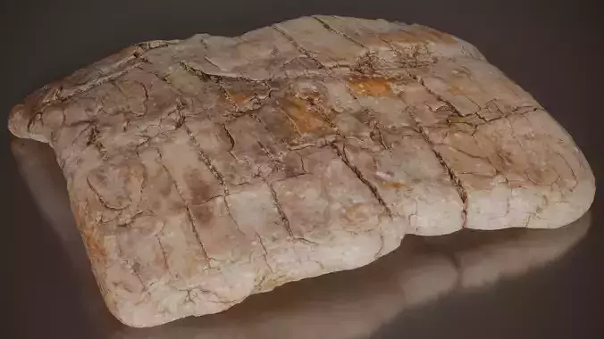 Pine Bark Flat Pinus Middle Wood 16