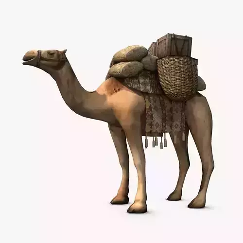 Loaded camel Low-poly 3D model