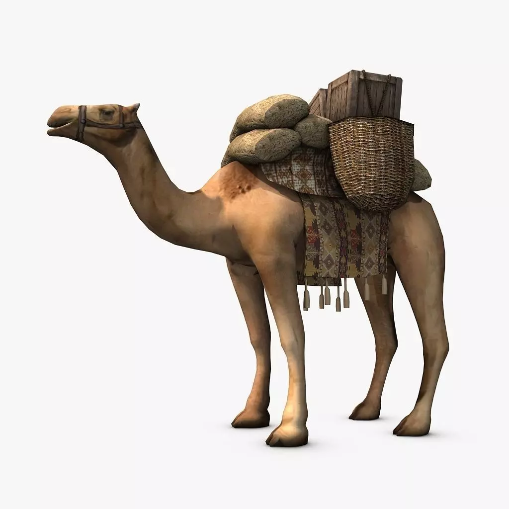 Loaded camel Low-poly 3D model_0
