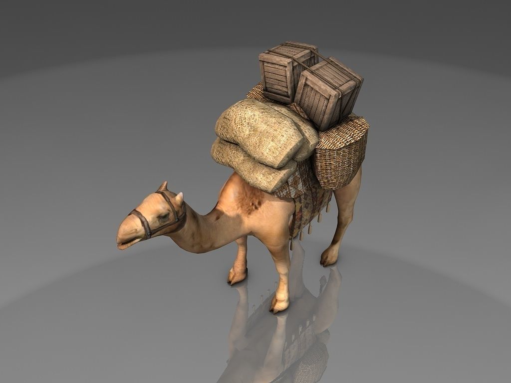 Loaded camel Low-poly 3D model_6