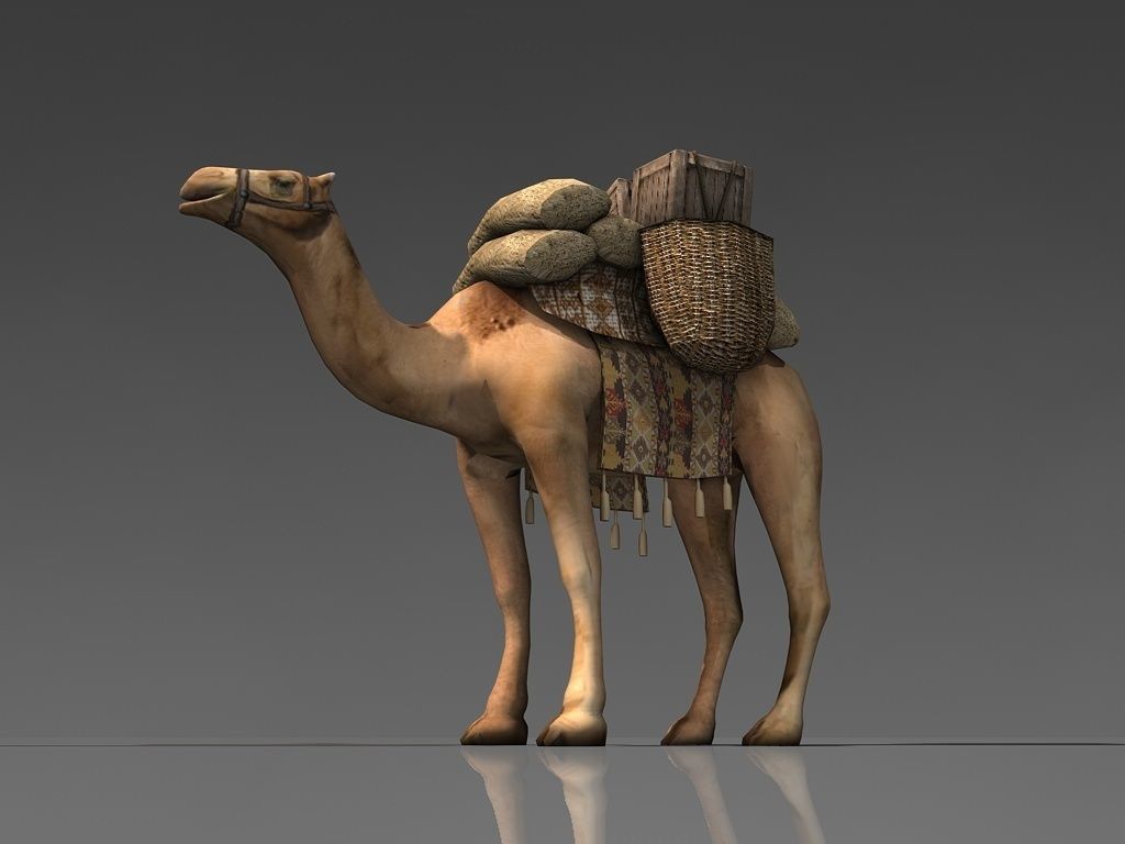 Loaded camel Low-poly 3D model_1