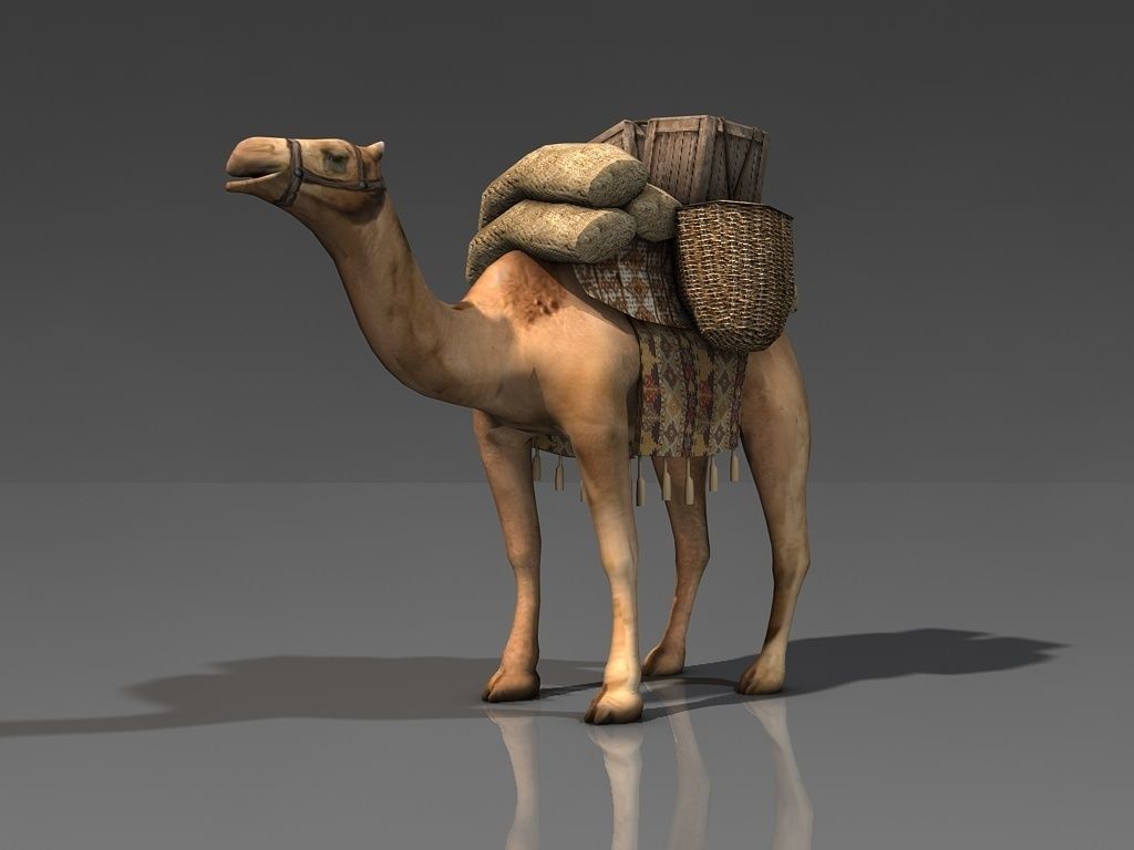 Loaded camel Low-poly 3D model_3