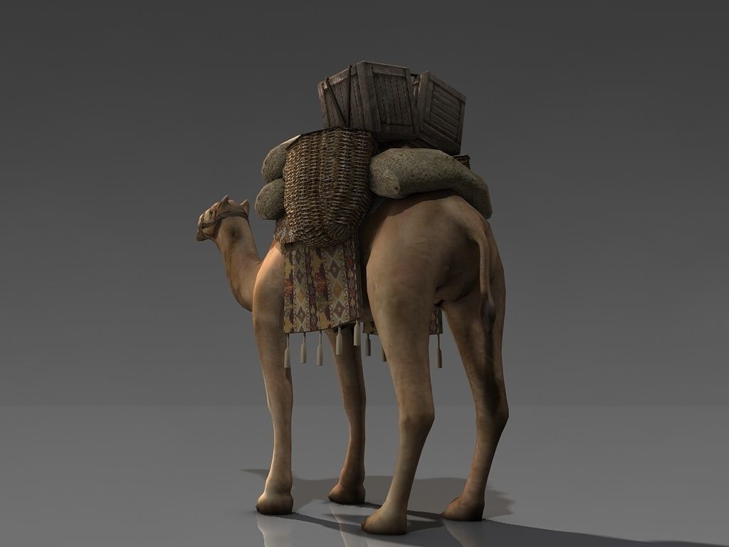 Loaded camel Low-poly 3D model_5