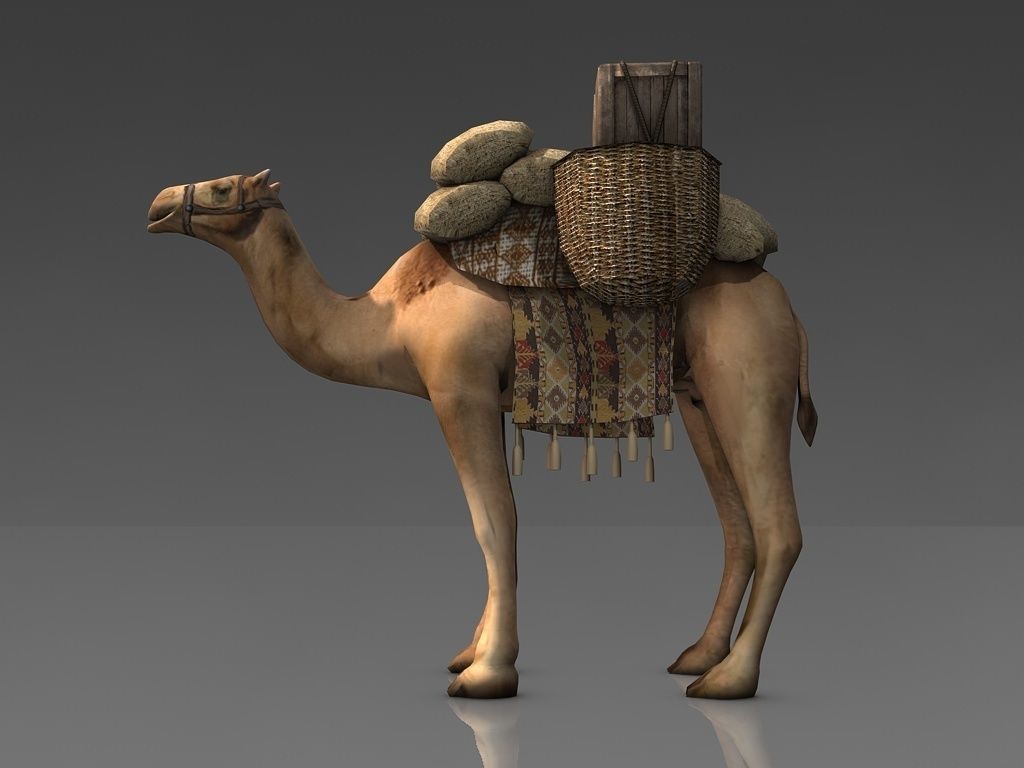 Loaded camel Low-poly 3D model_4