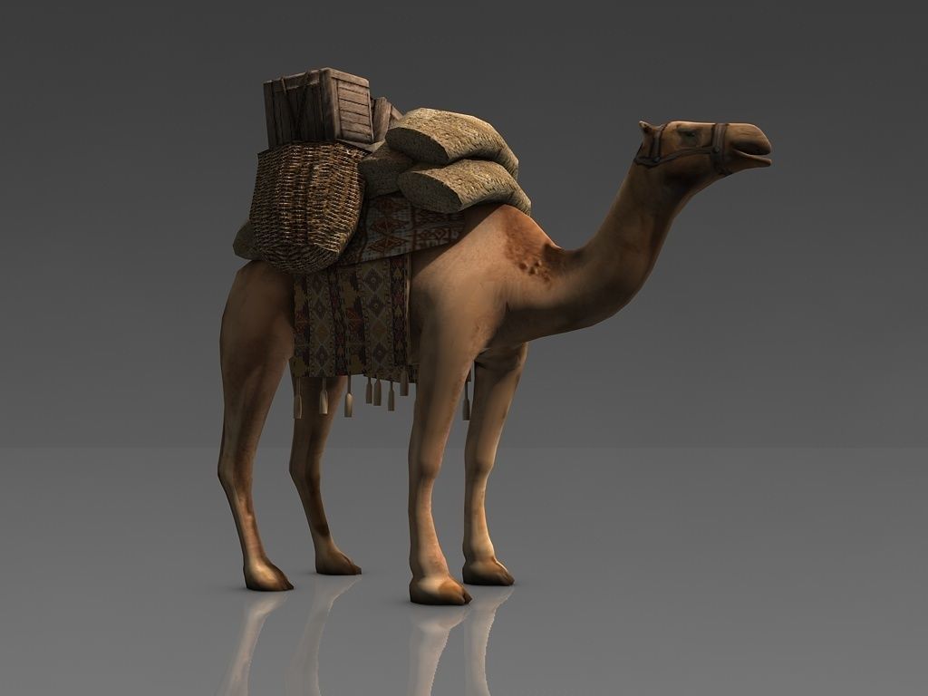 Loaded camel Low-poly 3D model_2