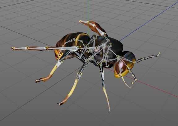 Vespa Velutina Rigged 3D model_1